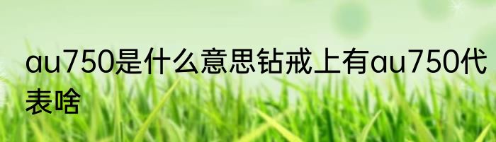 au750是什么意思钻戒上有au750代表啥