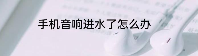手机音响进水了怎么办