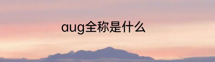 aug全称是什么