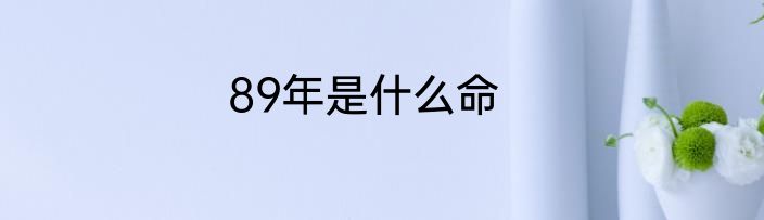 89年是什么命