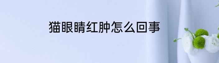 猫眼睛红肿怎么回事