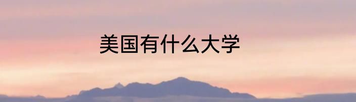 美国有什么大学