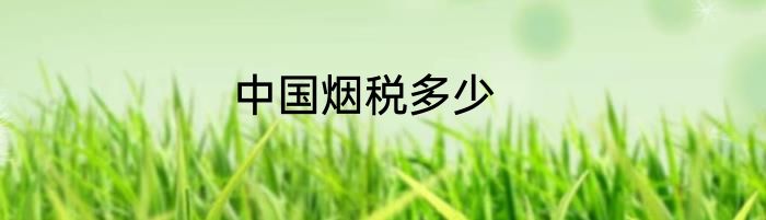 中国烟税多少
