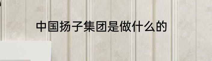 中国扬子集团是做什么的