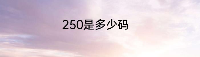 250是多少码