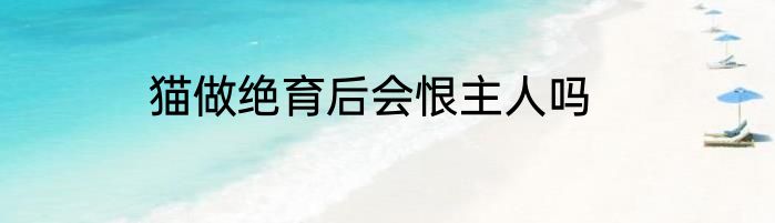 猫做绝育后会恨主人吗