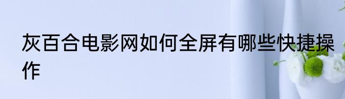 灰百合电影网如何全屏有哪些快捷操作