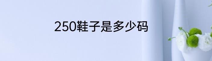 250鞋子是多少码