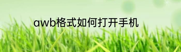 awb格式如何打开手机