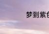 梦到紫色是什么意思