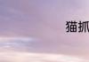 猫抓板什么样