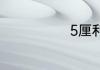 5厘利息是多少
