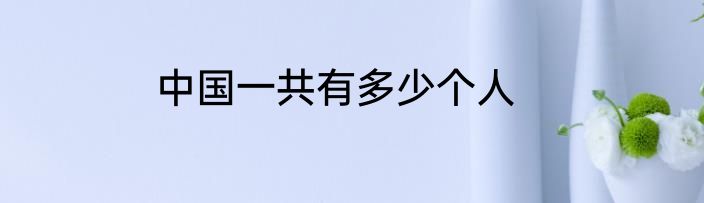 中国一共有多少个人