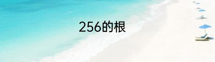 256的根