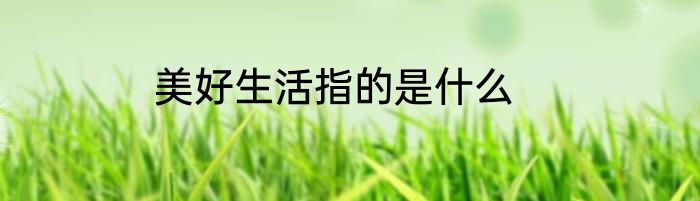 美好生活指的是什么