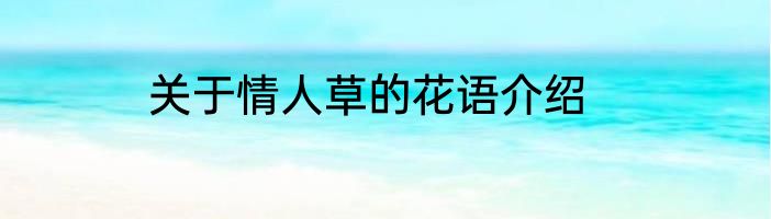 关于情人草的花语介绍