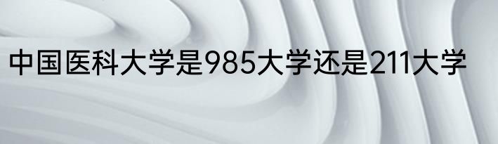 中国医科大学是985大学还是211大学