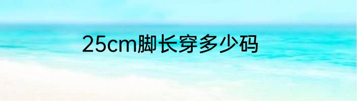 25cm脚长穿多少码