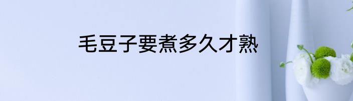 毛豆子要煮多久才熟