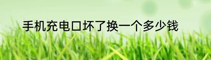 手机充电口坏了换一个多少钱
