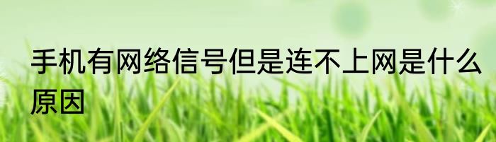 手机有网络信号但是连不上网是什么原因
