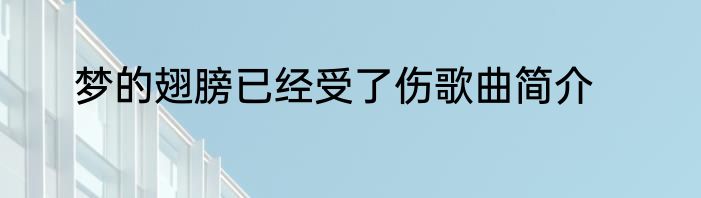 梦的翅膀已经受了伤歌曲简介