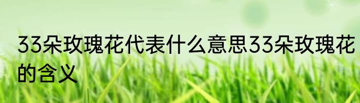 33朵玫瑰花代表什么意思33朵玫瑰花的含义