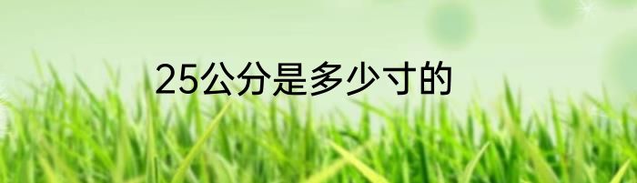 25公分是多少寸的