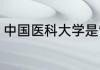 中国医科大学是985大学还是211大学