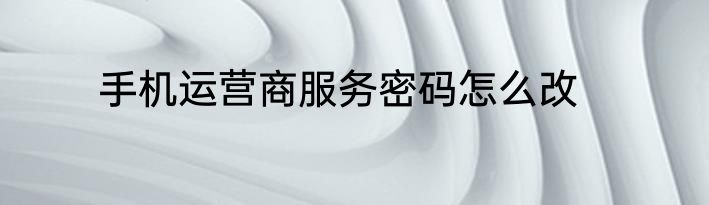 手机运营商服务密码怎么改