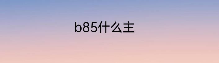 b85什么主
