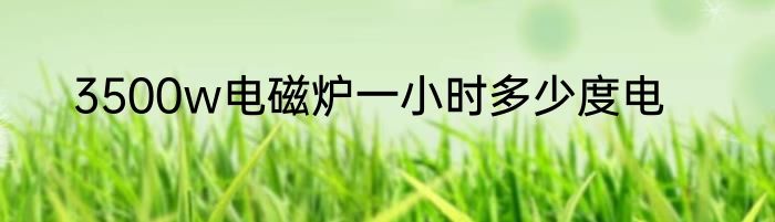 3500w电磁炉一小时多少度电