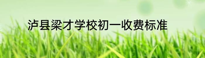 泸县梁才学校初一收费标准