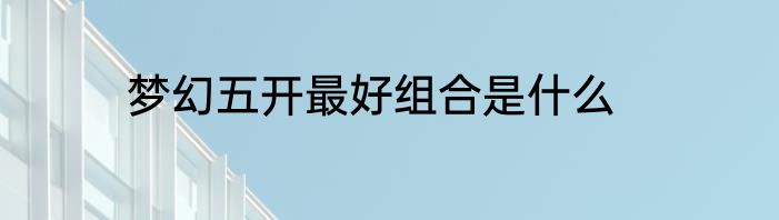 梦幻五开最好组合是什么