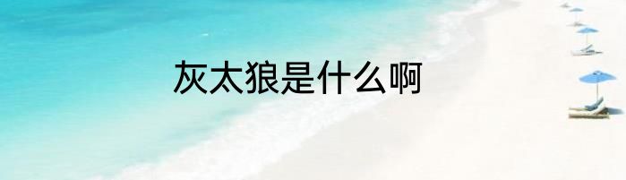 灰太狼是什么啊