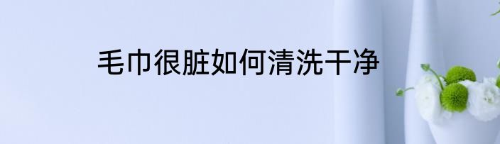 毛巾很脏如何清洗干净