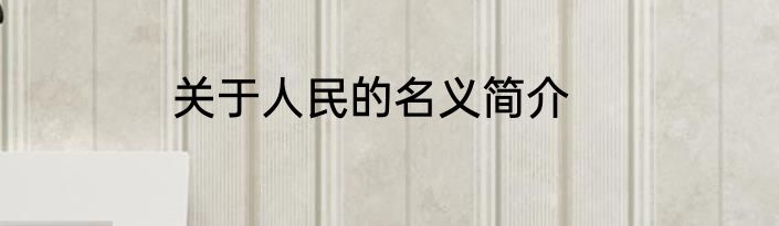 关于人民的名义简介