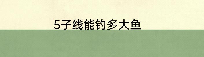 5子线能钓多大鱼