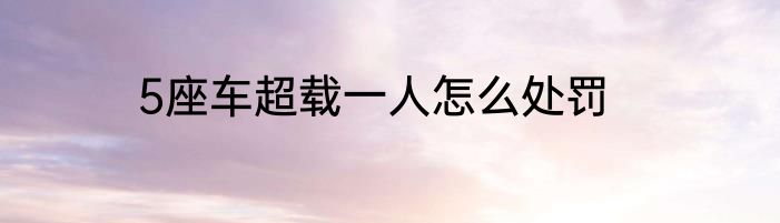 5座车超载一人怎么处罚