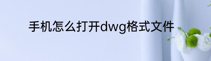 手机怎么打开dwg格式文件