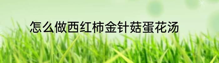 怎么做西红柿金针菇蛋花汤