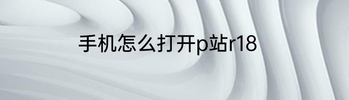 手机怎么打开p站r18