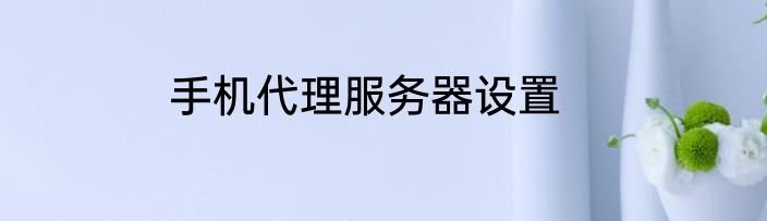 手机代理服务器设置