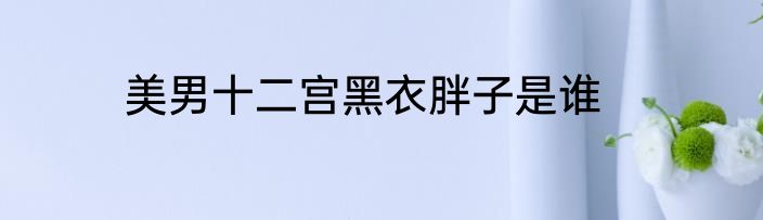 美男十二宫黑衣胖子是谁
