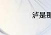 泸是那个省的简称