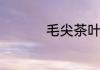 毛尖茶叶的产地哪里有