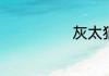 灰太狼是什么啊
