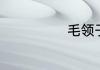 毛领子怎么清洗