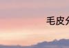 毛皮分哪些种类