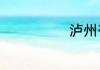 泸州有哪些学校
